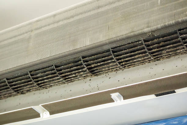 Best Air Duct Cleaning Near Me  in Grasonville, MD