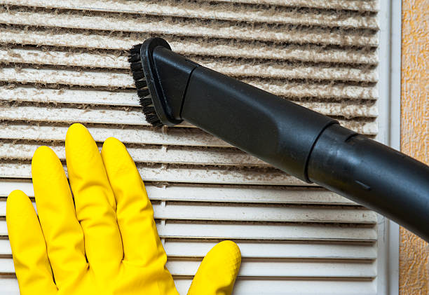 Best Ductwork Cleaning Services  in Grasonville, MD